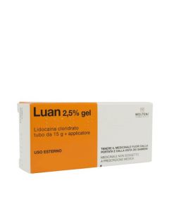 LUAN*GEL 15G 2,5%+APPLICATORE