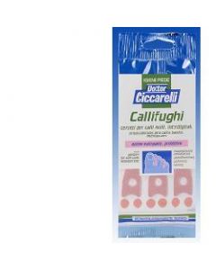 CALLIF CICCARELLI INTERDIG 6P