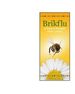 BRIKFLU SPR ORALE NAT 30ML