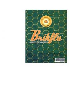 BRIKFLU CARAM PROPOLI 90G