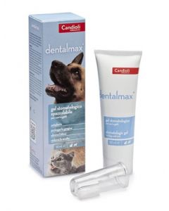Dentalmax Gel Stomatologico 50
