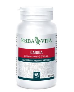 Caigua 60cps 400mg
