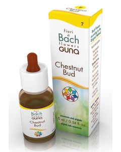 Chestnut Bud Gtt 10ml