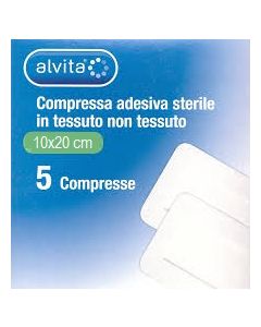 ALVITA GARZA ADES TNT 10X20