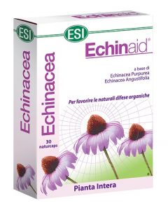 Esi Echinaid 30cps
