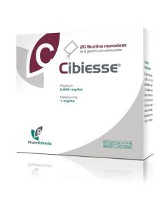 CIBIESSE 20BUST