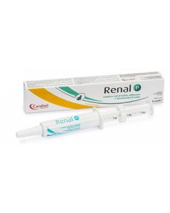 Renal P Pasta 15ml