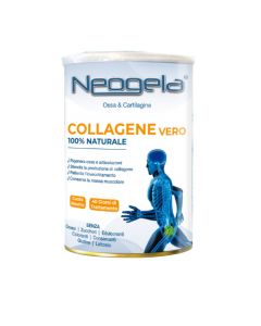 NEOGELA POLVERE 400G