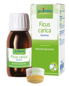 Ficus Carica Boi Mg 60ml Int