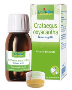 Crataegus Oxy Boi Mg 60ml Int