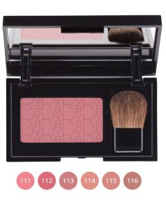 RVB LAB BLUSH COMPATTO 115