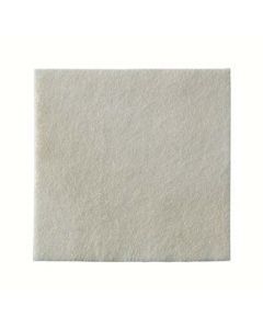 Biatain Alginate Ag 10x10 10pz