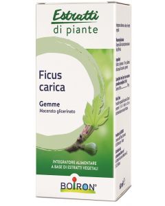 Ficus Carica Boi Mg 60ml Int