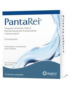 Pantarei 16bust