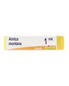 ARNICA MONTANA MK GL