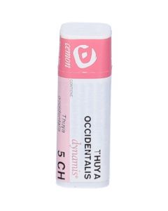 THUYA OCCIDENT 5CH GL