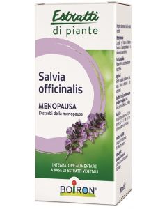 Salvia Off Boi Ei 60ml Int