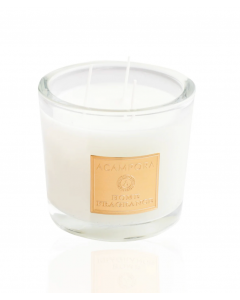 Acampora Grapefruit Candela