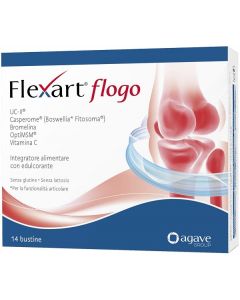 FLEXART FLOGO 14BUST NF