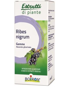 RIBES NIGRUM BOI MG 60ML INT