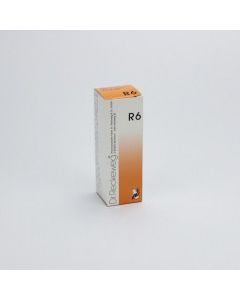 RECKEWEG R6 GOCCE 22ML